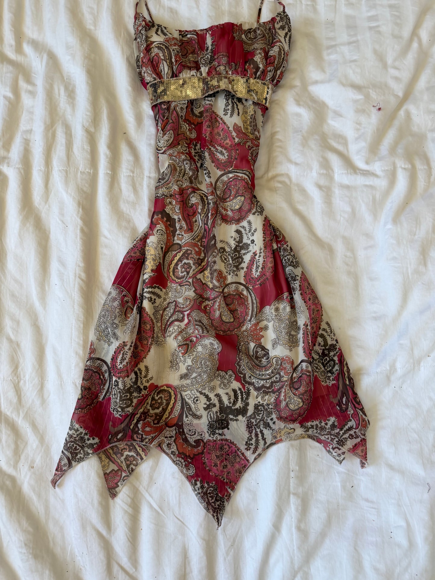 adorable paisley cdc dress