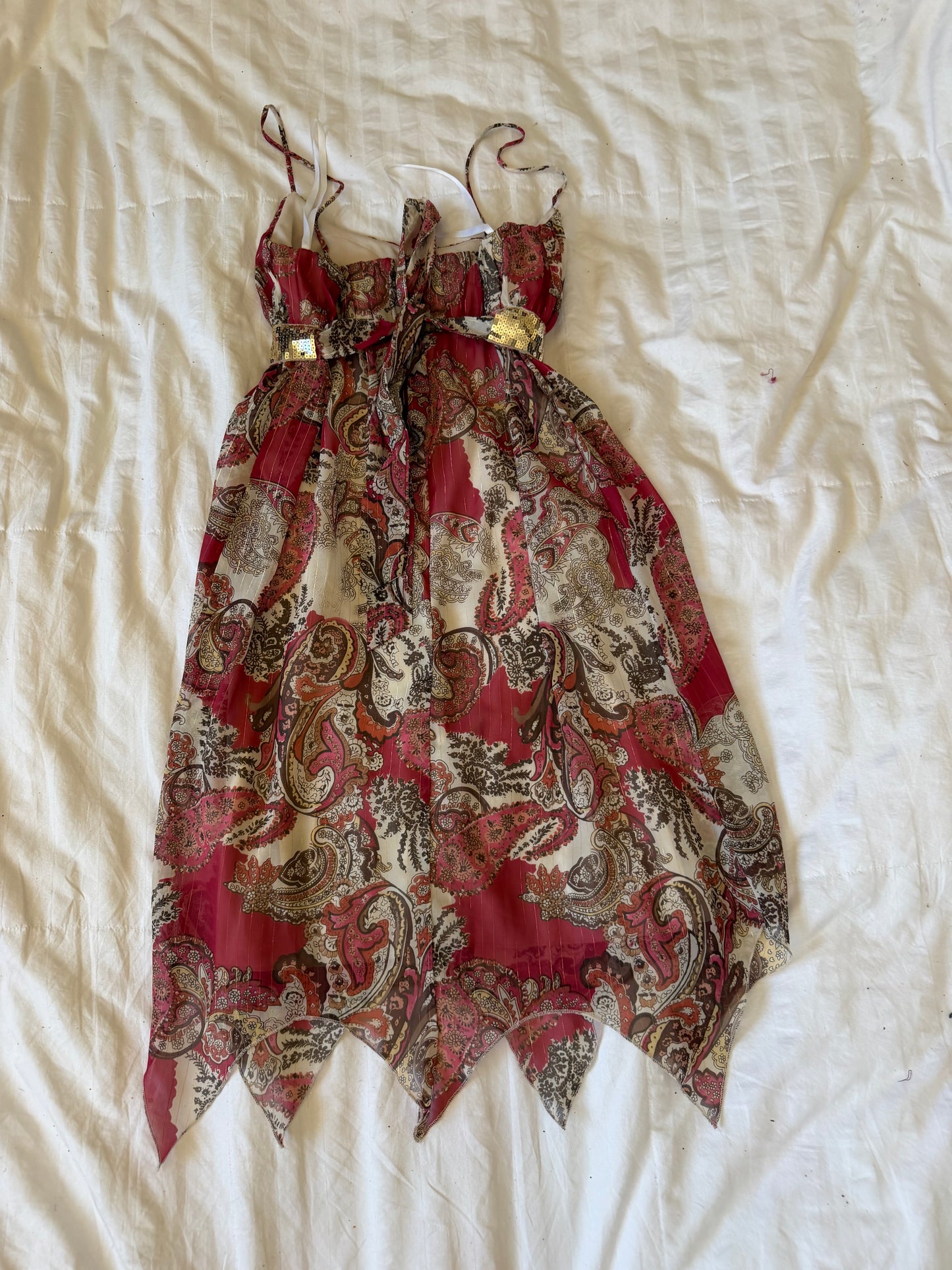 adorable paisley cdc dress