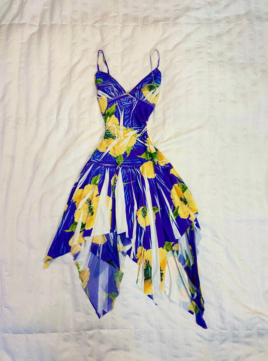 fairy dress