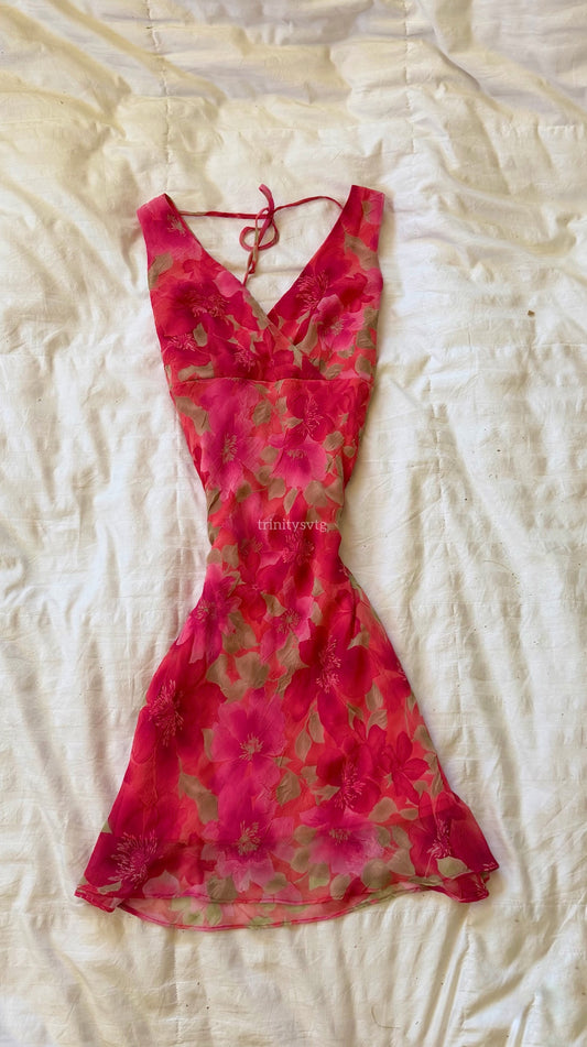 alyn paige dress