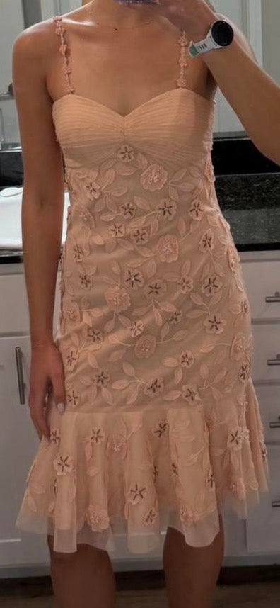 fairy sue wong dress